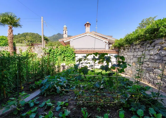 公寓 Al Capriccio By Quokka 360 - 5 Minutes From The Centre Of Ascona